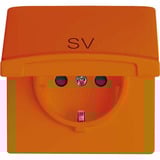 Busch-Jaeger Schutzkontakt-Steckdoseneinsatz 20 EUGKB-14-101 orange, Retail