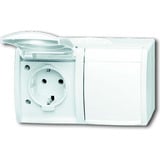 Busch-Jaeger Steckdose 20/2 Einbau-Wandgerät 54 weiß, Retail