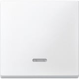 Merten Wippe Kontrollfenster für Schalter- und Tastereinsatz, zweiteilige Wippe, Thermoplast weiß (matt), Retail