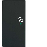 Busch-Jaeger Wippe matt future linear schwarz, Retail