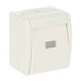 Busch-Jaeger Wipptaster mit Beleuchtung weiß, Retail