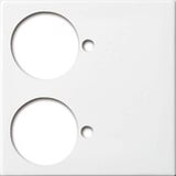 Busch-Jaeger Zentralscheibe, Rahmen weiß, Retail