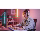 Philips Evnia 27M2N8500 QD-OLED, Gaming-Monitor 67.3 cm (26.5 Zoll), weiß, QHD, HDMI, DP, G-Sync-komp., Free-Sync, KI-Ambiglow, 360Hz Panel