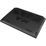 Schenker MEDIA 15 (10505762), Gaming-Notebook schwarz, Windows 10 Pro 64-Bit, 165 Hz Display