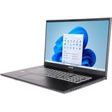 TERRA MOBILE 1716R i5-1334U W11, Notebook dunkelgrau, Intel® Core™ i5-1334U, Intel® Iris® Xe Graphics geeignet, 16 GB DDR4, 500 GB (500 GB SSD), Windows 11 Home
