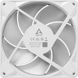 ARCTIC BioniX P14 A-RGB, Gehäuselüfter weiß/weiß, 3er Pack, 140 mm