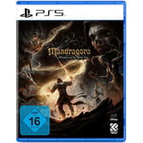  Mandragora: Whispers of the Witch Tree, PlayStation 5-Spiel 