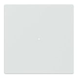 Merten Wippe für Taster-Modul einteilig mit Kontrollfenster, glänzende Oberfläche, Kunststoff weiß (glänzend), Retail