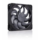 Noctua NF-A12x25 G2 PWM chromax.black, Gehäuselüfter schwarz, PWM-Anschluss, 120 mm