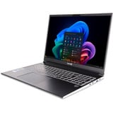 TERRA GAMER ELITE 3A R7-Ai350 W11 HOME - Copilot+ PC, Gaming-Notebook silber/schwarz, AMD Ryzen AI 7 350, NVIDIA GeForce RTX 5060, 32 GB DDR5, 1 TB (1 TB SSD), Windows 11 Home