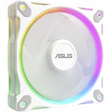 ASUS Prime MR120 ARGB Fan, Gehäuselüfter weiß, 3er Pack, 120 mm