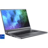 Acer Predator Triton 500 (PT516-51s-96EV), Gaming-Notebook grau, Windows 11 Home 64-Bit, 165 Hz Display