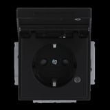 Busch-Jaeger Schutzkontakt-Steckdosen-Einsatz Typ F 20 EUKNBL-885 schwarz, Retail