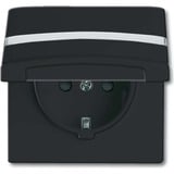 Busch-Jaeger Schutzkontakt-Steckdoseneinsatz Typ F 20 EUGKBN-35-101 anthrazit, Retail