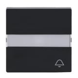 Busch-Jaeger Wippe anthrazit, Retail