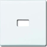 Busch-Jaeger Wippe offen für Symbol weiß, Retail