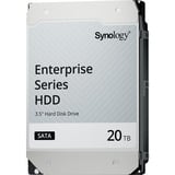 Synology HAS5310-20T, Festplatte SAS 12 Gb/s, 3,5", 24/7