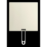 Busch-Jaeger Zugschalter Aufputzmontage 2610/6 J-522 Retail