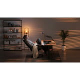 ENDORFY Atlas GS Single, Monitorhalterung schwarz, für Monitore bis 88,9 cm (35")