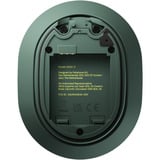 Fairphone Fairbuds XL (2025) Forest Green, Kopfhörer dunkelgrün, Bluetooth, USB-C