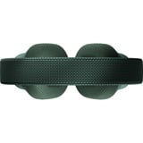 Fairphone Fairbuds XL (2025) Forest Green, Kopfhörer dunkelgrün, Bluetooth, USB-C