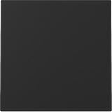 Gira Wippe einteilige Ausführung lackierte matte Oberfläche Kunststoff Thermoplast schwarz (matt), Retail