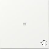 Gira Wippe mit Kontrollfenster und Symbol für schaltbare Steckdose weiß, Retail