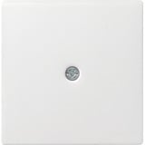 Gira Zentraleinsatz für Schnurableitung, Zentralplatte weiß (glänzend), Retail