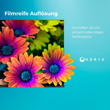Toshiba 24WV3F63DA, LED-Fernseher 60 cm (24 Zoll), schwarz, WXGA, VIDAA-Betriebssystem