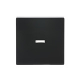 Busch-Jaeger Wippe anthrazit, Retail