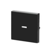 Busch-Jaeger Wippe anthrazit, Retail