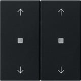 Gira Wippe zweifach mit Pfeilsymbolen und Kontrollfenster schwarz, Retail