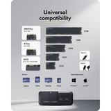 ICY BOX IB-2925MS-CU31, Dockingstation schwarz