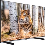 SmartTV Zoll), 108 Telefunken FullHD, schwarz, cm(43 XF43K550, HDR, LED-Fernseher