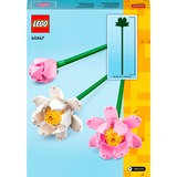 LEGO 40647 Iconic Lotusblumen, Konstruktionsspielzeug 
