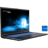 Medion ERAZER Scout E20 (MD62528), Gaming-Notebook schwarz, Windows 11 Home 64-Bit, 144 Hz Display, 1 TB SSD