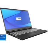 Schenker KEY 15 (10505946), Gaming-Notebook grau, Windows 11 Pro 64-Bit, 60 Hz Display