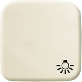 Busch-Jaeger Wippe mit Symbol Licht weiß, Retail