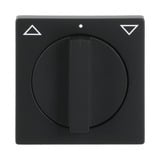 Busch-Jaeger Zentralscheibe Jalousie mit Drehgriff, Abdeckung schwarz, Retail