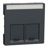 Merten Zentralplatte zweifach anthrazit, Retail