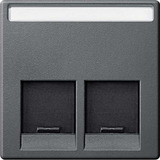 Merten Zentralplatte zweifach anthrazit, Retail