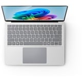 Microsoft Surface Laptop 7 Copilot+PC, Notebook platin, Qualcomm Snapdragon X Elite X1E-80-100, Qualcomm Adreno GPU, 16 GB LPDDR5X, 512 GB (512 GB SSD), Windows 11 Home