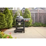 Weber Performer Smart Holzkohlegrill 57 cm schwarz/silber, Ø 57cm. Modell 2026