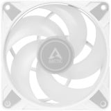 ARCTIC P12 PWM PST A-RGB 0dB 3er 120x120x25, Gehäuselüfter weiß/transparent, 3er Pack, 120 mm