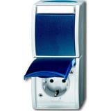 Busch-Jaeger Kombination Schutzkontakt Steckdose mit Wippschalter Wechselschalter grau, Retail