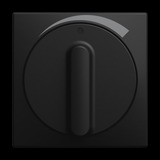 Busch-Jaeger Zentralscheibe 1740 Drehregler 03-915, Abdeckung schwarz, Retail