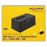 DeLOCK USB-C Dockingstation schwarz, USB-C, HDD, SSD