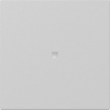 Gira Wippe gerade Kontrollfenster grau, Retail