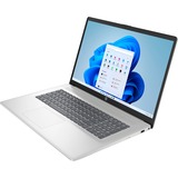 HP 17-cn4057ng, Notebook silber, Intel® Core™ 5 120U, Intel® Graphics, 16 GB DDR4, 1 TB (1 TB SSD), Windows 11 Home 64-Bit