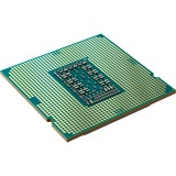 Intel® Core™ i5-11500, Prozessor Tray-Version, Tray